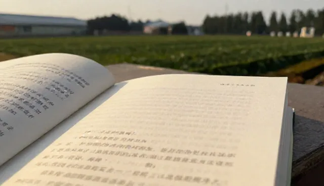 包装材料:冷链配送选型关注点分析